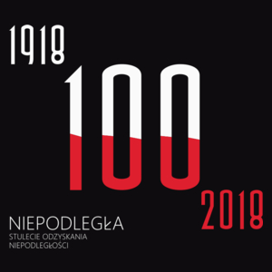 100 lat niepodległości 1918 - 2018  - Męska Bluza Czarna