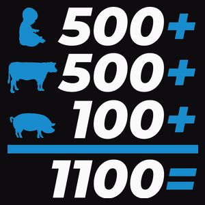 500+ na krowę tucznika i dziecko - Męska Koszulka Czarna