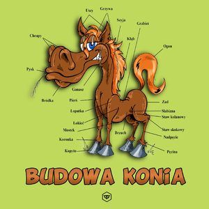 Budowa Konia - Męska Koszulka Jasno Zielona