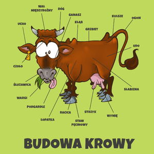 Budowa Krowy Brązowa - Męska Koszulka Jasno Zielona