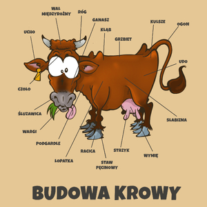 Budowa Krowy Brązowa - Męska Koszulka Piaskowa