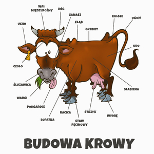 Budowa Krowy Brązowa - Poduszka Biała