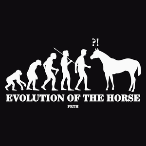 Horse Evolution - Męska Bluza z kapturem Czarna