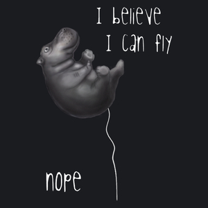 I believe I can fly - hipopotam - Damska Koszulka Czarna