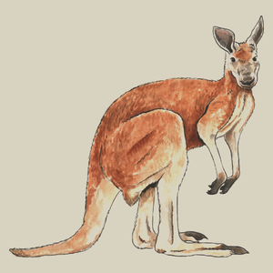 Kangur - Torba Na Zakupy Natural