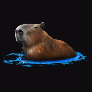 Kapybara Pływająca Kapibara - Męska Koszulka Czarna