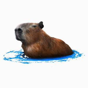 Kapybara Pływająca Kapibara - Poduszka Biała