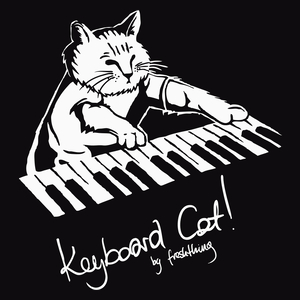 Keyboard Cat - Męska Bluza Czarna