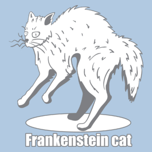 Kot Frankensteina - Damska Koszulka Błękitna