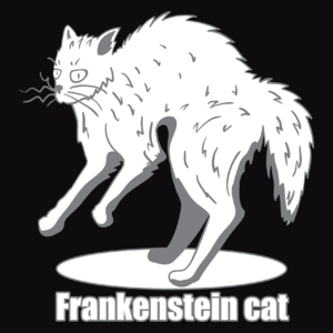Kot Frankensteina - Męska Koszulka Czarna