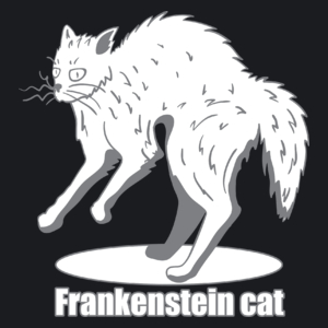Kot Frankensteina - Damska Koszulka Czarna