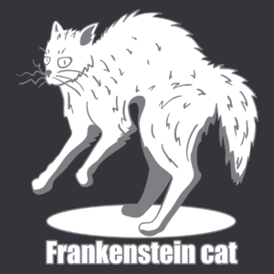 Kot Frankensteina - Męska Koszulka Szara