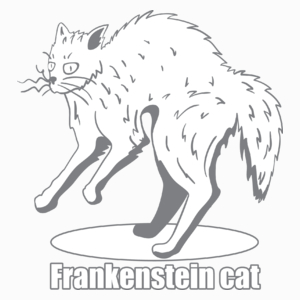 Kot Frankensteina - Poduszka Biała