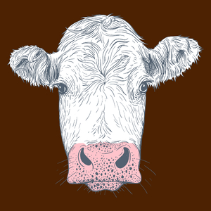 Krowa - Damska Koszulka Czekoladowa