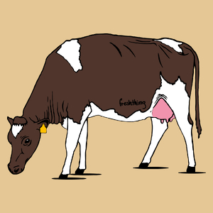 Krowa - Męska Koszulka Piaskowa