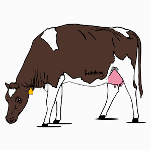 Krowa - Poduszka Biała
