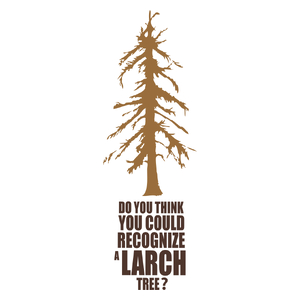 Larch Tree - Kubek Biały