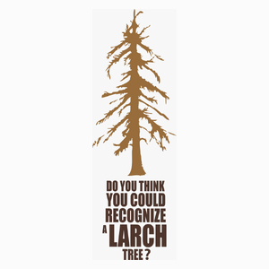 Larch Tree - Poduszka Biała