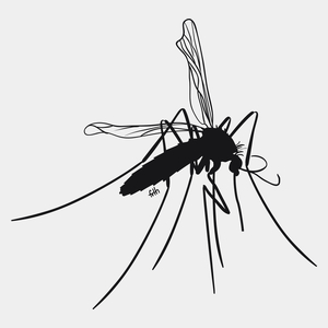 Mosquito - Męska Koszulka Biała