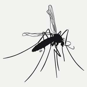 Mosquito - Damska Koszulka Biała