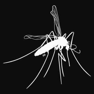 Mosquito - Męska Koszulka Czarna