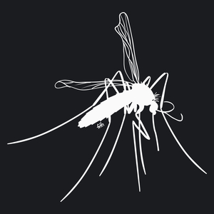 Mosquito - Damska Koszulka Czarna