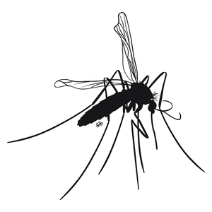 Mosquito - Kubek Biały