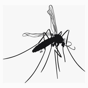 Mosquito - Poduszka Biała