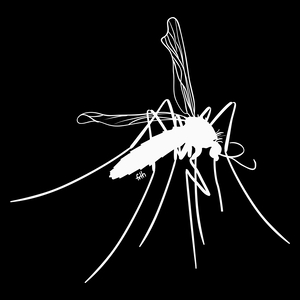 Mosquito - Torba Na Zakupy Czarna