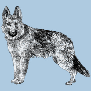 Pies - Męska Koszulka Błękitna