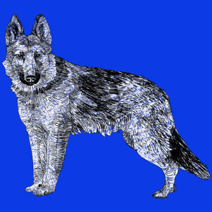 Pies - Damska Koszulka Niebieska