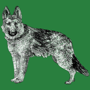 Pies - Dziecięca Koszulka Zielona