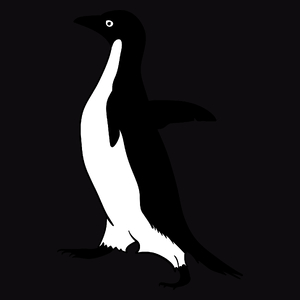 Pingwin - Męska Bluza Czarna