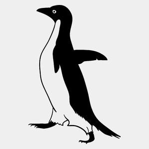 Pingwin - Męska Koszulka Biała