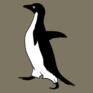 Pingwin - Męska Koszulka Khaki