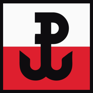 Polska Walcząca Flaga - Męska Bluza z kapturem Czarna