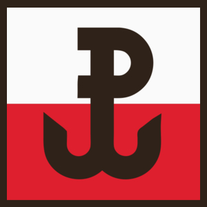 Polska Walcząca Flaga - Męska Koszulka Czekoladowa