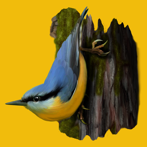 Ptak Kowalik - Damska Koszulka Żółta