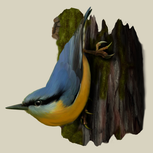 Ptak Kowalik - Torba Na Zakupy Natural