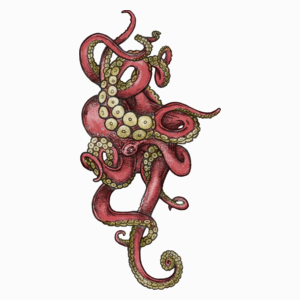 Red Octopus - Poduszka Biała