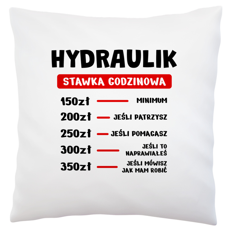 Stawka Godzinowa Hydraulik - Poduszka Biała