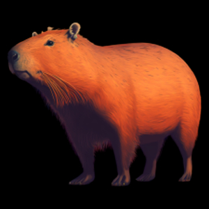 Stojąca Kapibara Capybara - Torba Na Zakupy Czarna