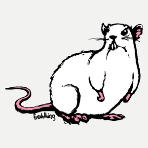 Szczur - Damska Koszulka Biała