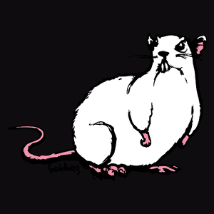 Szczur - Męska Koszulka Czarna