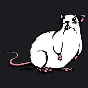 Szczur - Damska Koszulka Czarna