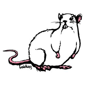 Szczur - Kubek Biały