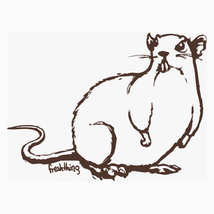 Szczur - Poduszka Biała