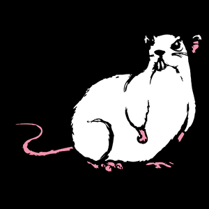 Szczur - Torba Na Zakupy Czarna
