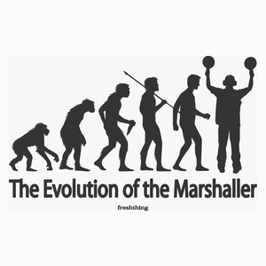 The Evolution Of The Marshaller - Poduszka Biała
