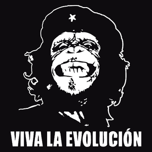 Viva La Evolucion - Męska Bluza z kapturem Czarna